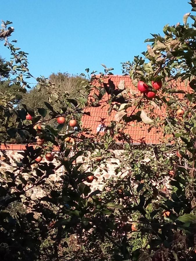 Bed and Breakfast Le Chevalier Des Marettes Airel Exterior foto