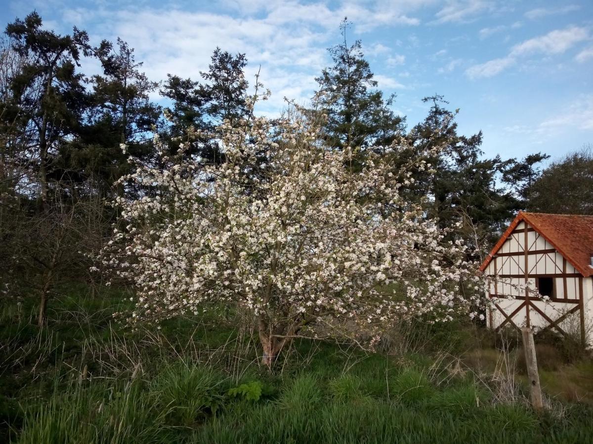 Bed and Breakfast Le Chevalier Des Marettes Airel Exterior foto